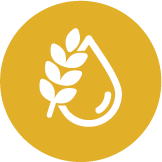 arable crops icon