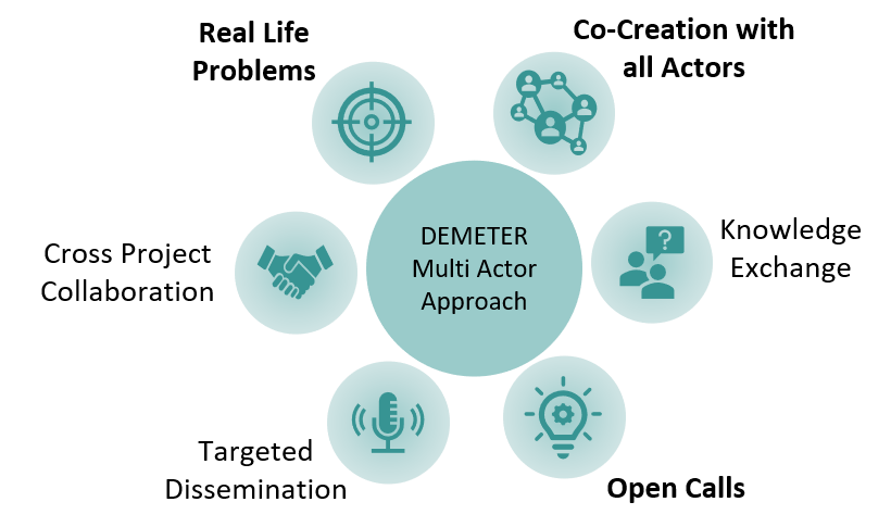 The Multi-actor Approach in DEMETER