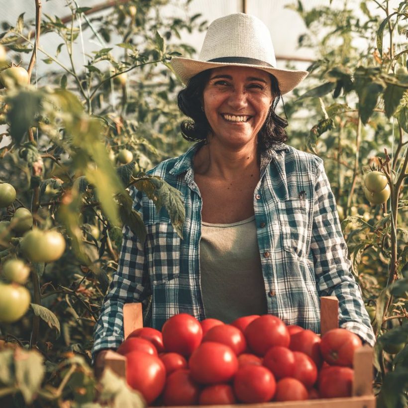 Report: The changing face of agriculture: “focusing on gender, youth and technology”