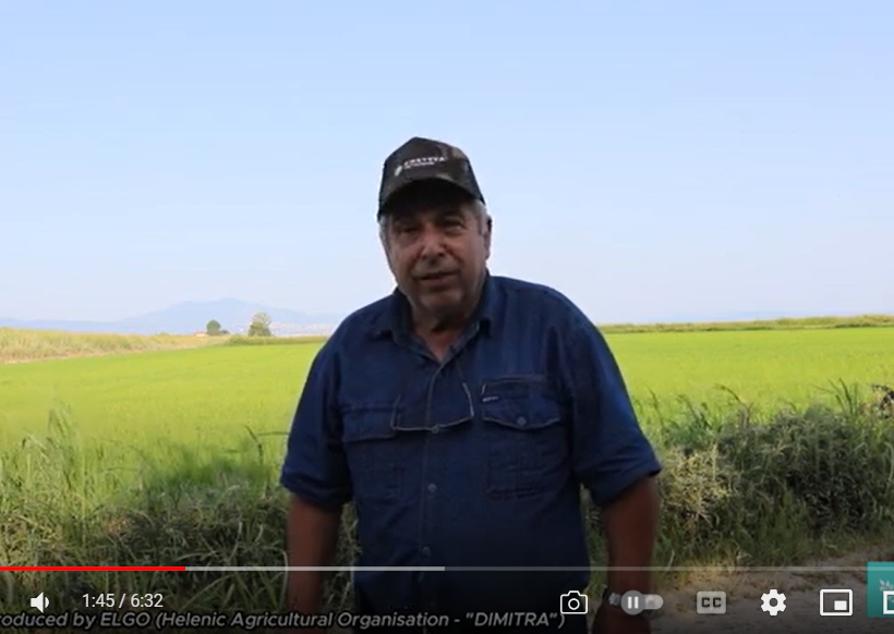 Pilot 1.3: Interview with farmer Pastiras Christos